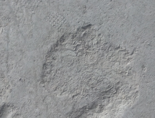 幾乎爛掉的地面適合做自流平么？